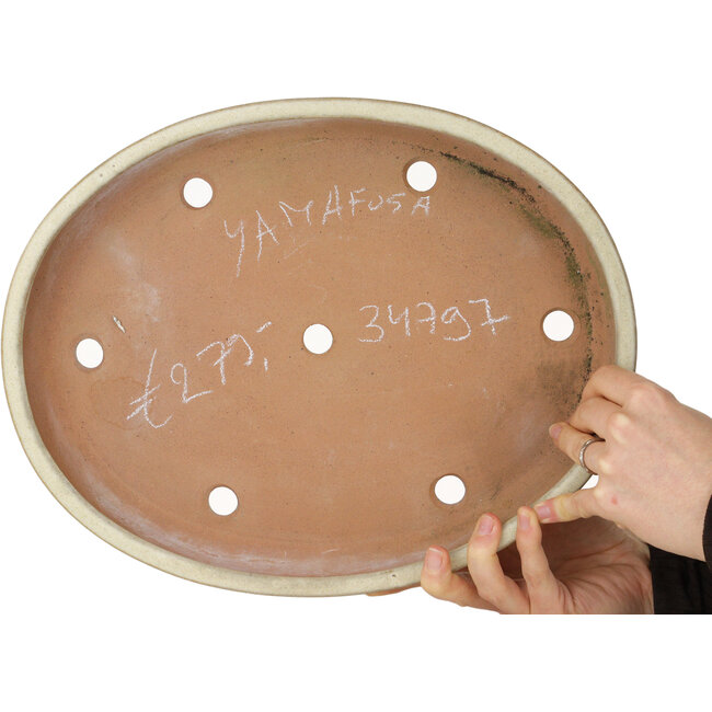 Pot à bonsaï ovale beige de Yamafusa - 350 x 275 x 50 mm