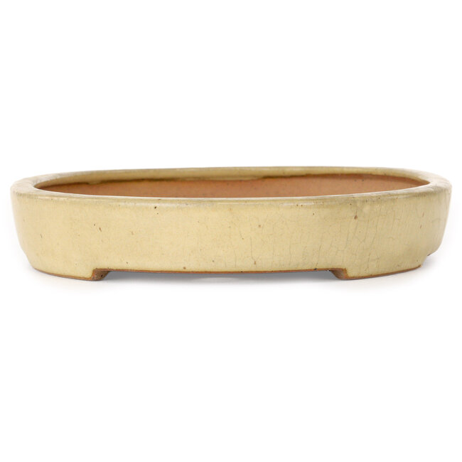 Maceta ovalada color beige para bonsái de Reiho - 287 x 205 x 35 mm
