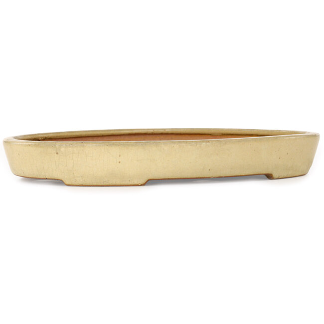 Oval beige bonsai pot by Reiho - 287 x 205 x 35 mm