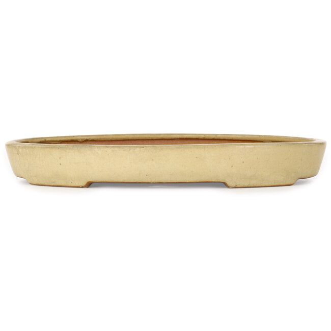 Pot à bonsaï ovale beige de Reiho - 287 x 205 x 35 mm