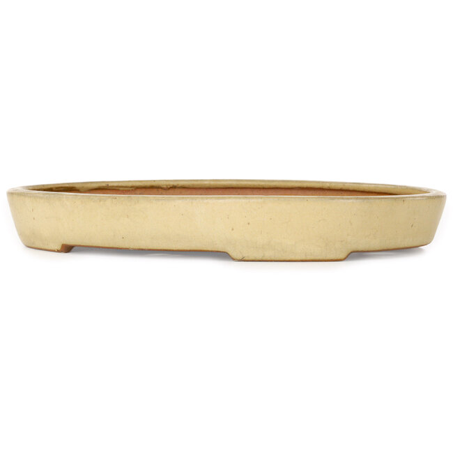 Oval beige bonsai pot by Reiho - 287 x 205 x 35 mm