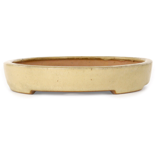 Oval beige bonsai pot by Reiho - 287 x 205 x 35 mm