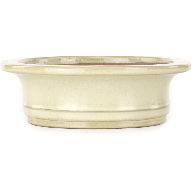 Maceta ovalada color beige para bonsái de Yamafusa - 248 x 200 x 65 mm