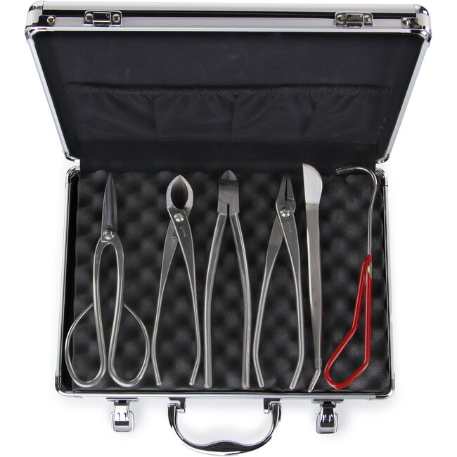 Set di utensili giapponesi in acciaio inossidabile, 6 pezzi