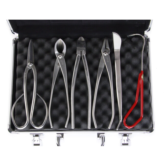 Set di utensili giapponesi in acciaio inossidabile, 6 pezzi