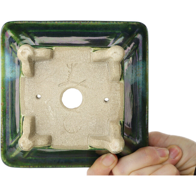 Vaso bonsai quadrato verde di Terahata Satomi Mazan - 133 x 133 x 80 mm