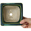 Square green bonsai pot by Terahata Satomi Mazan - 133 x 133 x 80 mm
