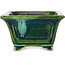 Vaso bonsai quadrato verde di Terahata Satomi Mazan - 126 x 126 x 72 mm
