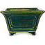 Maceta cuadrada para bonsái verde de Terahata Satomi Mazan - 126 x 126 x 72 mm