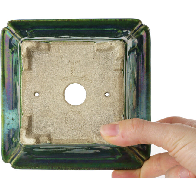 Square green bonsai pot by Terahata Satomi Mazan - 126 x 126 x 72 mm