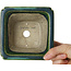 Square green bonsai pot by Terahata Satomi Mazan - 126 x 126 x 72 mm