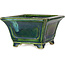 Vierkante groene bonsaipot van Terahata Satomi Mazan - 126 x 126 x 72 mm
