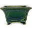 Maceta cuadrada para bonsái verde de Terahata Satomi Mazan - 126 x 126 x 72 mm