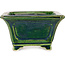 Vierkante groene bonsaipot van Terahata Satomi Mazan - 126 x 126 x 72 mm