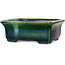 Vaso bonsai rettangolare verde di Terahata Satomi Mazan - 165 x 135 x 65 mm