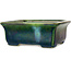 Rectangular green bonsai pot by Terahata Satomi Mazan - 165 x 135 x 65 mm