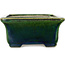 Rectangular green bonsai pot by Terahata Satomi Mazan - 165 x 135 x 65 mm
