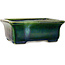 Rechthoekige groene bonsaipot van Terahata Satomi Mazan - 165 x 135 x 65 mm