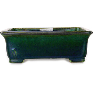  Satomi Mazan, Mazan Terahata Maceta rectangular verde para bonsái de 198 mm de Mazan, Tokoname, Japón