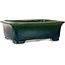 Maceta rectangular verde para bonsái de Mazan - 198 x 170 x 67 mm