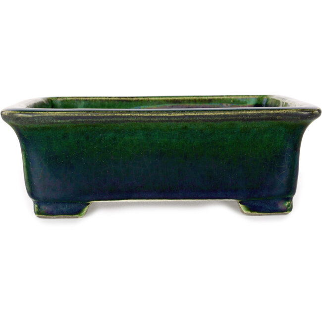 Maceta rectangular verde para bonsái de Mazan - 198 x 170 x 67 mm