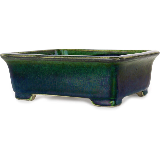 Maceta rectangular verde para bonsái de Mazan - 198 x 170 x 67 mm