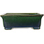 Rechthoekige groene bonsaipot van Mazan - 198 x 170 x 67 mm