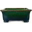 Rectangular green bonsai pot by Mazan - 198 x 170 x 67 mm