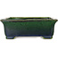 Rectangular green bonsai pot by Mazan - 198 x 170 x 67 mm