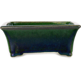  Satomi Mazan, Mazan Terahata Vaso bonsai rettangolare verde da 183 mm di Mazan, Tokoname, Giappone