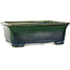 Rectangular green bonsai pot by Mazan - 198 x 170 x 67 mm