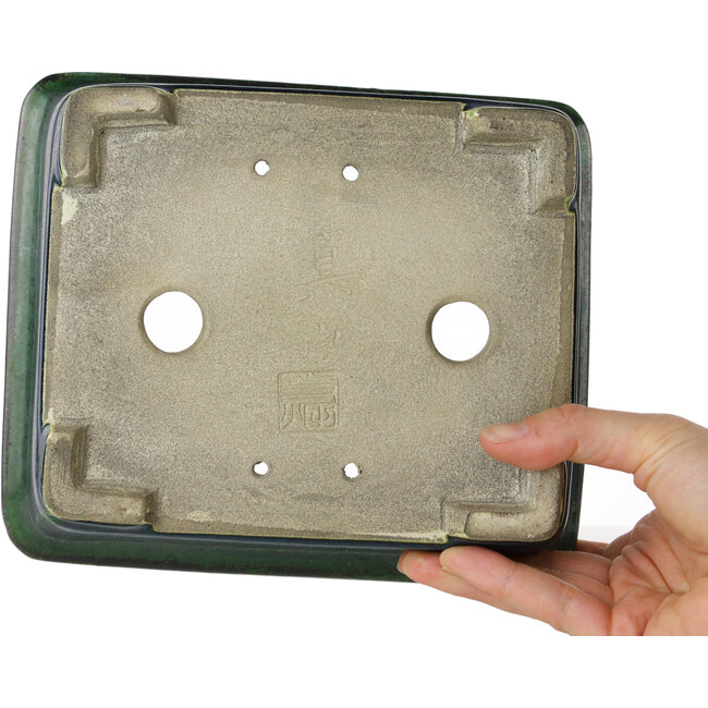 Maceta rectangular verde para bonsái de Mazan - 198 x 170 x 67 mm