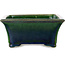 Pot à bonsaï rectangulaire vert de Mazan - 183 x 162 x 75 mm