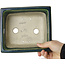 Rectangular green bonsai pot by Mazan - 183 x 162 x 75 mm