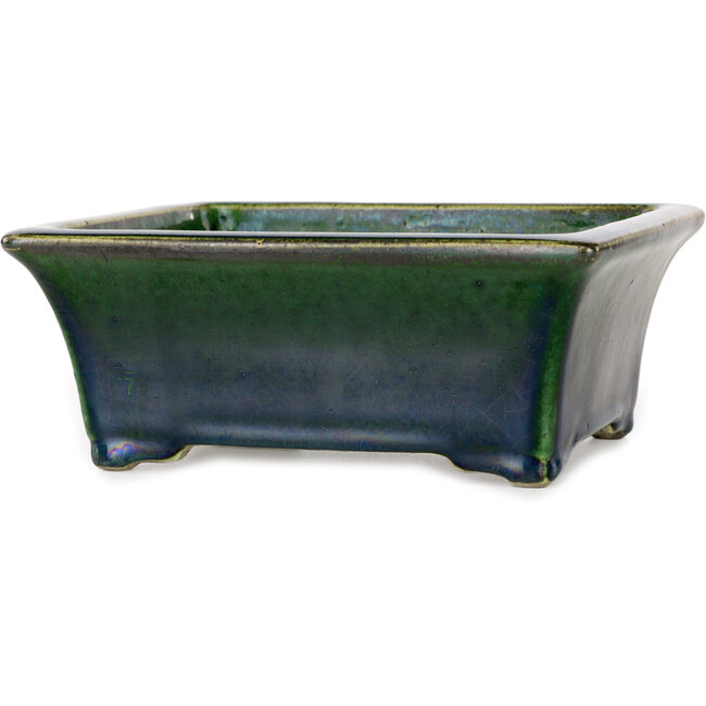 Pot à bonsaï rectangulaire vert de Mazan - 183 x 162 x 75 mm