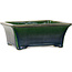 Pot à bonsaï rectangulaire vert de Mazan - 183 x 162 x 75 mm