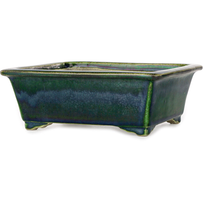 Rechteckiger grüner Bonsai-Topf von Mazan – 197 x 168 x 70 mm
