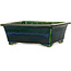 Pot à bonsaï rectangulaire vert de Mazan - 197 x 168 x 70 mm