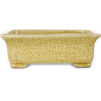  Satomi Mazan, Mazan Terahata 203 mm rectangular yellow craquelé bonsai pot by Mazan, Tokoname, Japan