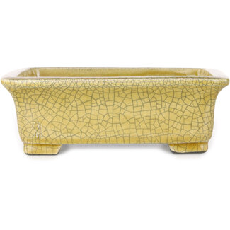  Satomi Mazan, Mazan Terahata Vaso bonsai rettangolare giallo craquelé da 203 mm di Mazan, Tokoname, Giappone