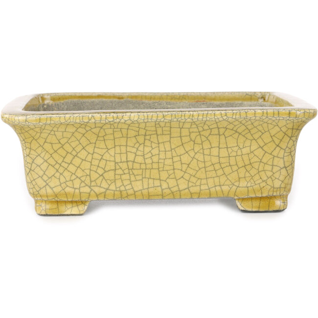 Maceta rectangular para bonsái craquelé amarilla de Mazan - 203 x 173 x 70 mm