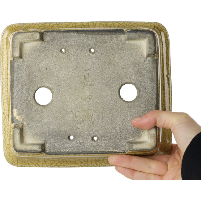 Pot à bonsaï rectangulaire jaune craquelé par Mazan - 203 x 173 x 70 mm