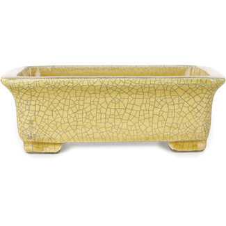  Satomi Mazan, Mazan Terahata Pot à bonsaï rectangulaire craquelé jaune 203 mm par Mazan, Tokoname, Japon