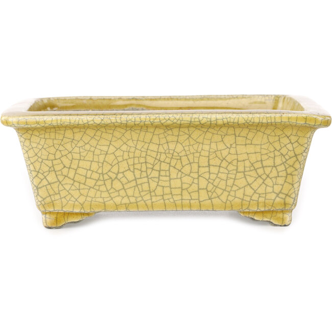 Rechteckige gelbe Craquelé-Bonsaischale von Mazan – 203 x 173 x 70 mm