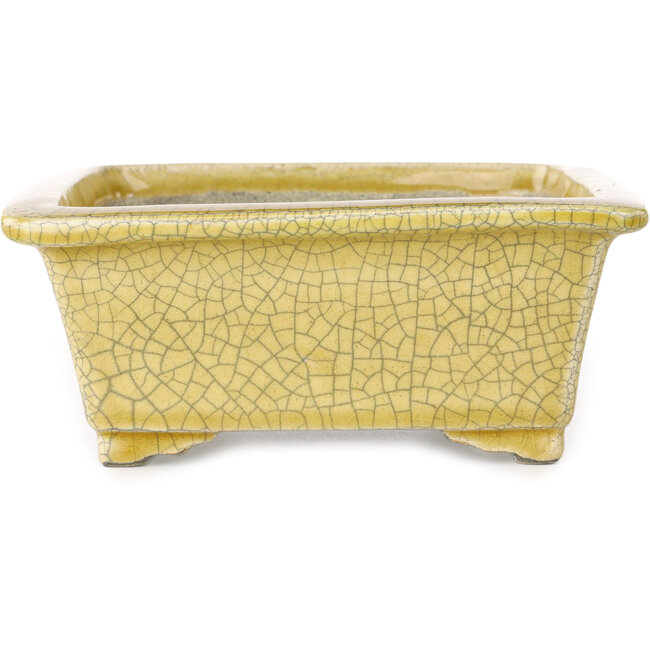 Rectangular yellow craquelé bonsai pot by Mazan - 203 x 173 x 70 mm