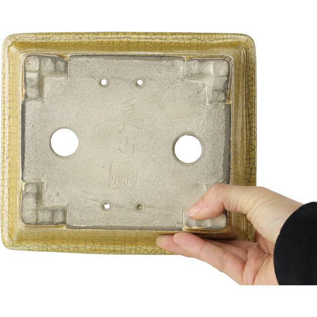 Maceta rectangular para bonsái craquelé amarilla de Mazan - 203 x 173 x 70 mm