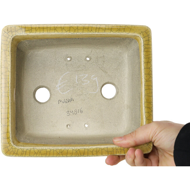 Rectangular yellow craquelé bonsai pot by Mazan - 203 x 173 x 70 mm