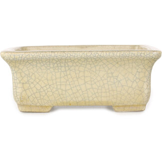  Satomi Mazan, Mazan Terahata 164 mm rechthoekige beige craquelé bonsaipot van Terahata Satomi Mazan, Tokoname, Japan