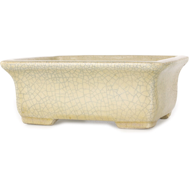 Pot à bonsaï rectangulaire beige craquelé par Terahata Satomi Mazan - 164 x 138 x 63 mm
