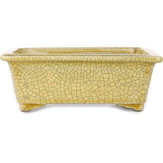  Satomi Mazan, Mazan Terahata 203 mm rectangular yellow craquelé bonsai pot by Mazan, Tokoname, Japan